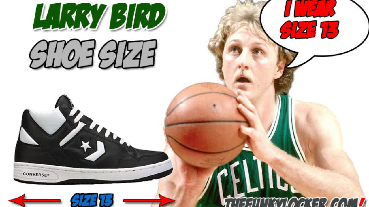 what shoes did larry bird wear