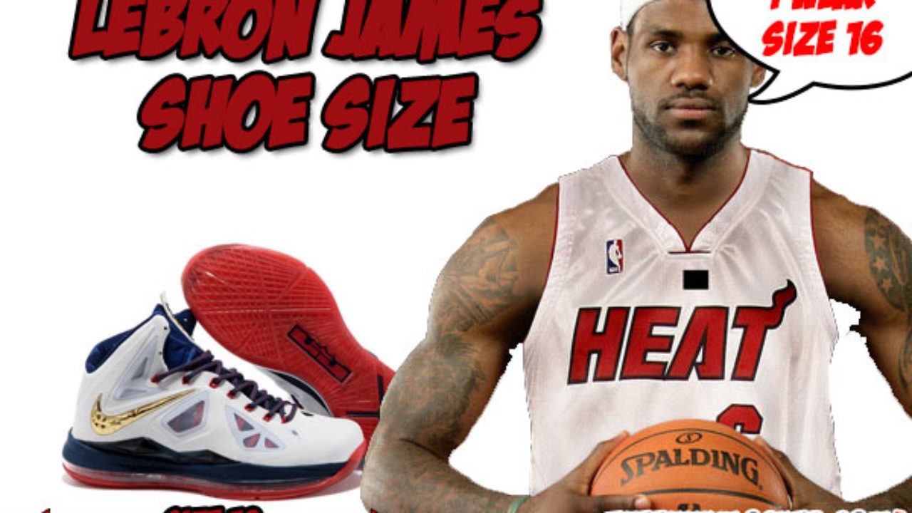 what shoe size is lebron james