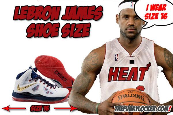 shoe size of lebron james